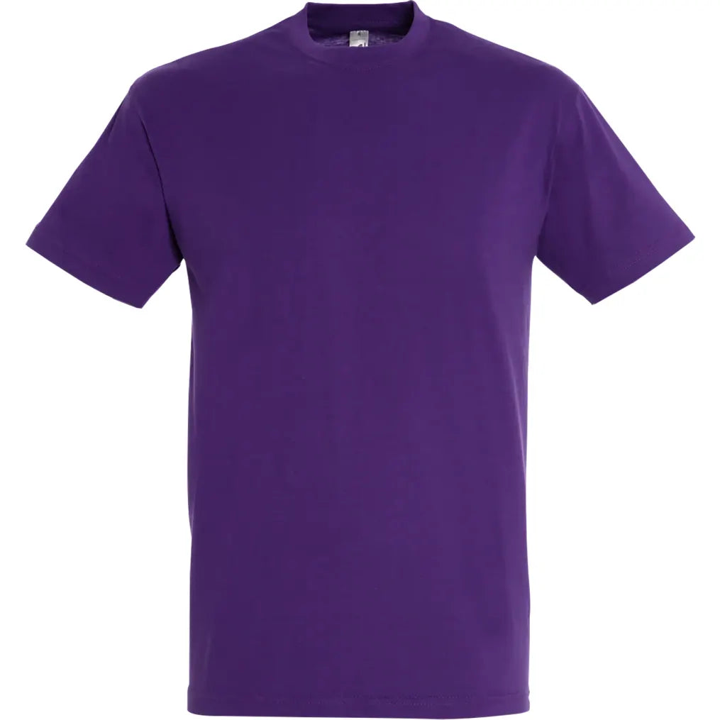 Tee shirt Regent Sol's